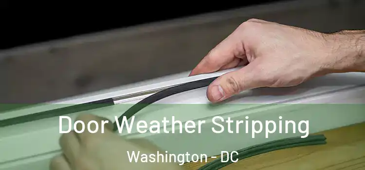 Door Weather Stripping Washington - DC