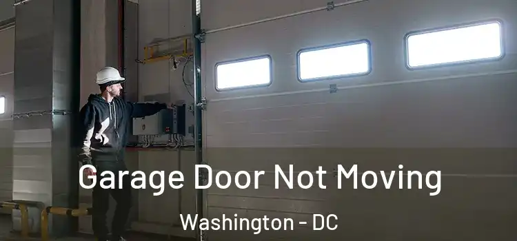  Garage Door Not Moving Washington - DC