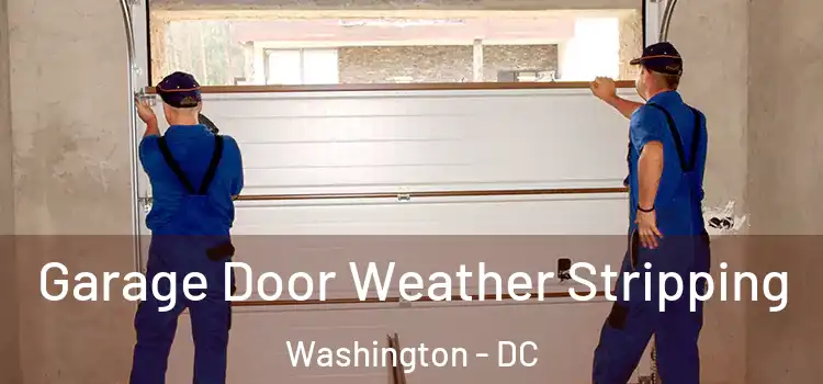  Garage Door Weather Stripping Washington - DC