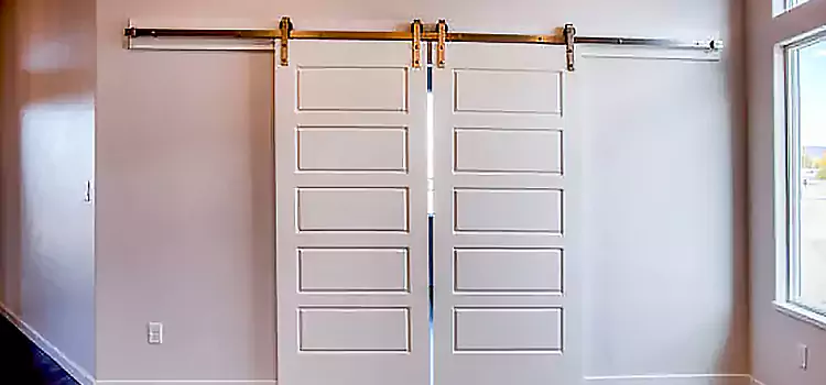 Glass Barn Door with Installation Hardware Kit Washington