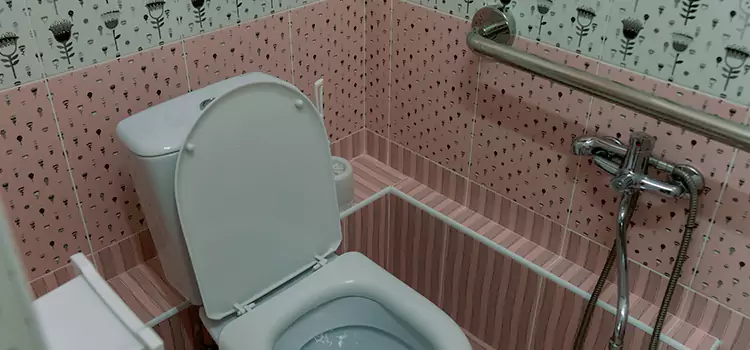 Meeting Diverse Needs With Accessible Restroom Solutions in Washington, DC
