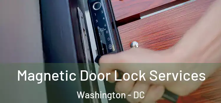 Magnetic Door Lock Services Washington - DC