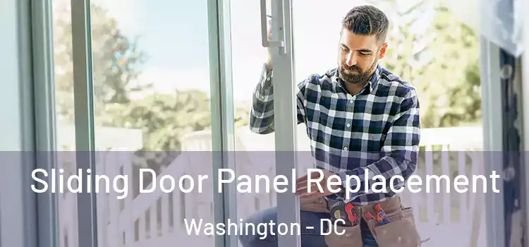  Sliding Door Panel Replacement Washington - DC